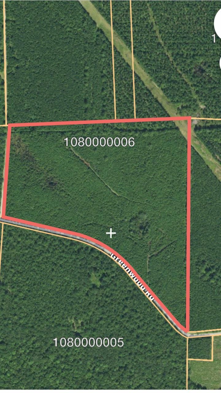 1880 Greenwood Rd, Adams Run, SC 29426