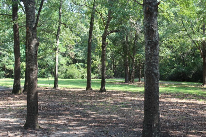1295 Sc 45, Mcclellanville, SC 29458