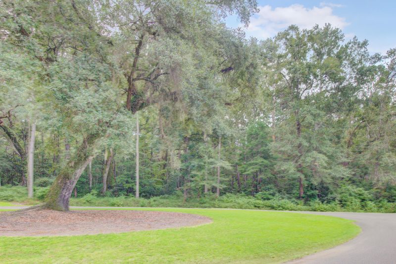 0 Buttonbush Dr, Ravenel, SC 29470