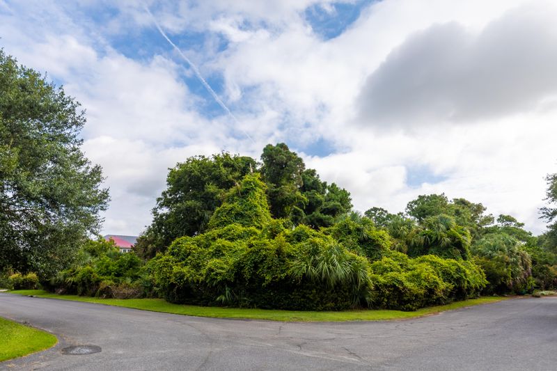 2272 Seascape Ct, Seabrook Island, SC 29455