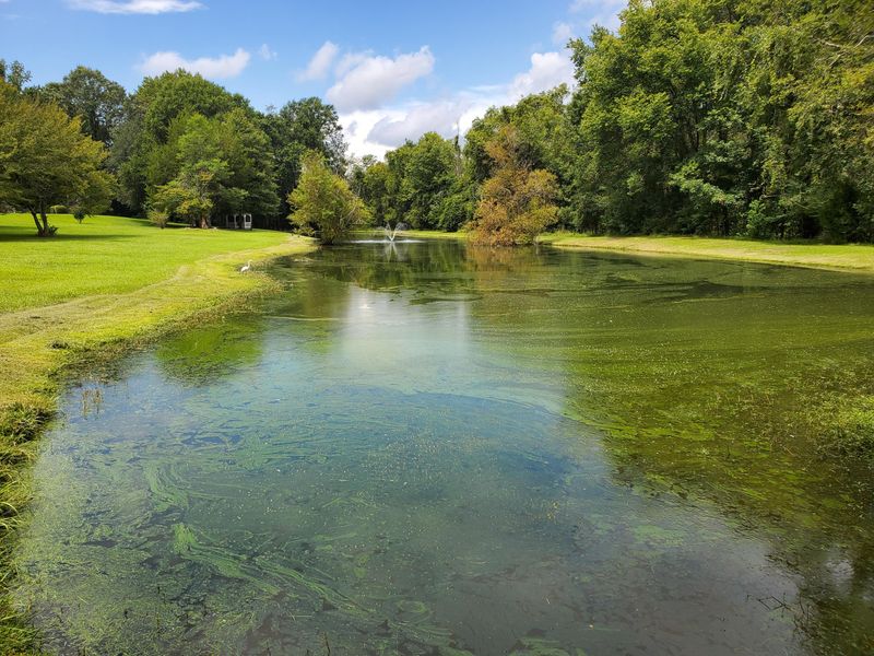 9943 Delemar Hwy, Summerville, SC 29485