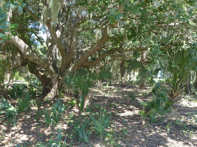 3305 Palmetto Blvd, Edisto Island, SC 29438