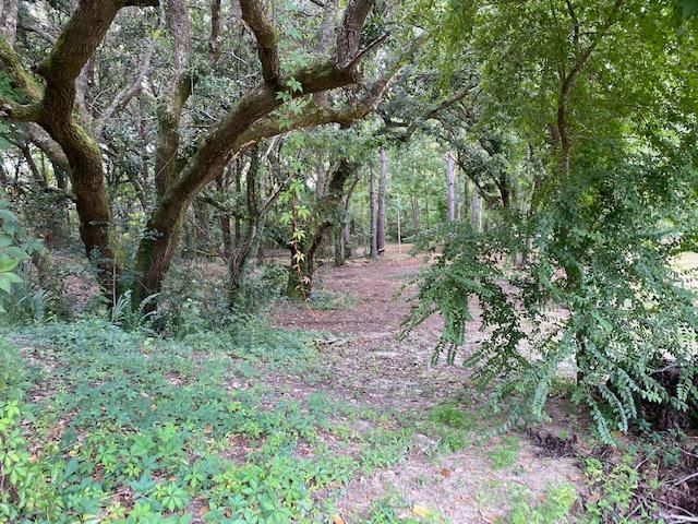 454 Mouzons Bluff Rd, Mcclellanville, SC 29458