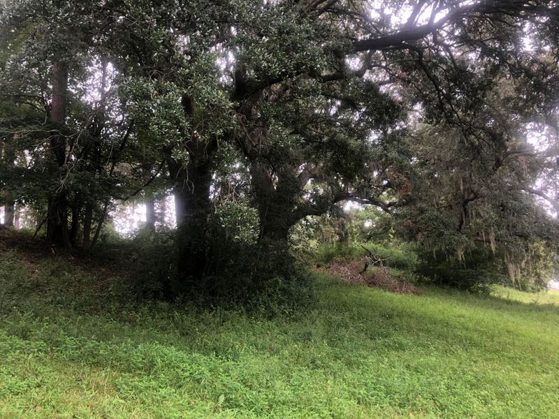 1 Fairington Dr, Summerville, SC 29485