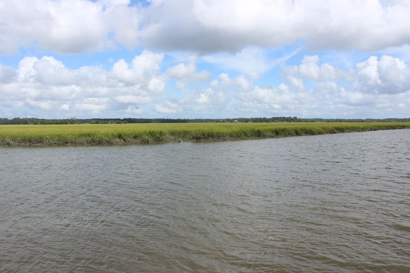 8938 Palmetto Rd, Edisto Island, SC 29438
