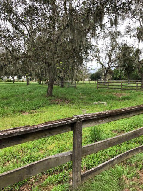 2986 Highway 174, Edisto Island, SC 29438