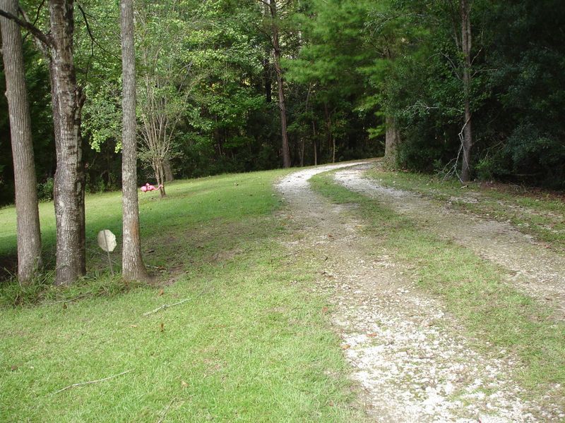7391 Hwy 165, Ravenel, SC 29470