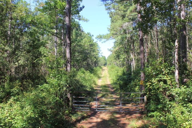 0 Highway 17 N, Mcclellanville, SC 29458
