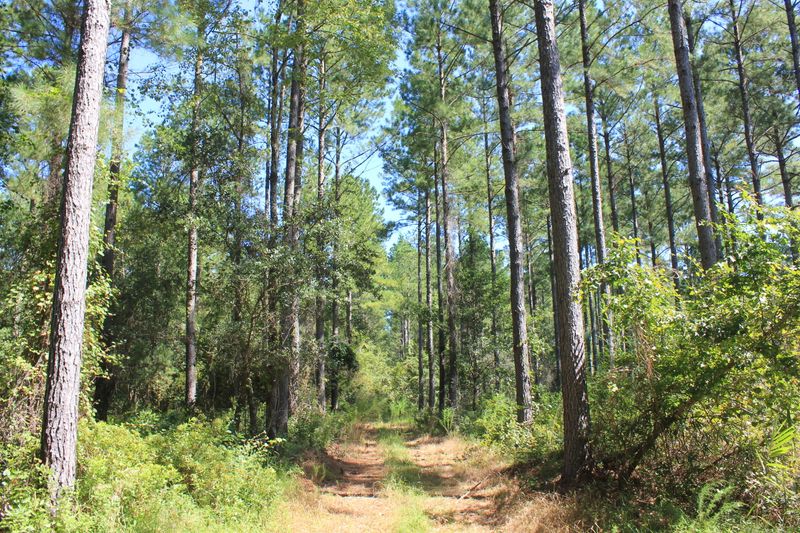 0 Highway 17 N, Mcclellanville, SC 29458