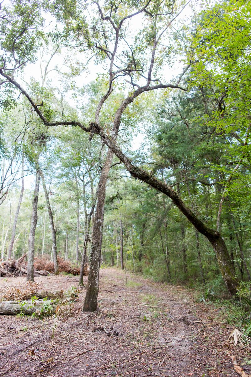 129 Riverbirch Ln, Ridgeville, SC 29472