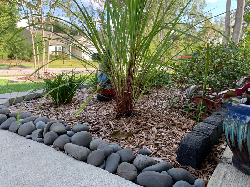 2748 Conservancy Ln, Charleston, SC 29414