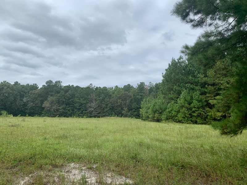 1445 Old Hwy 6, Cross, SC 29436