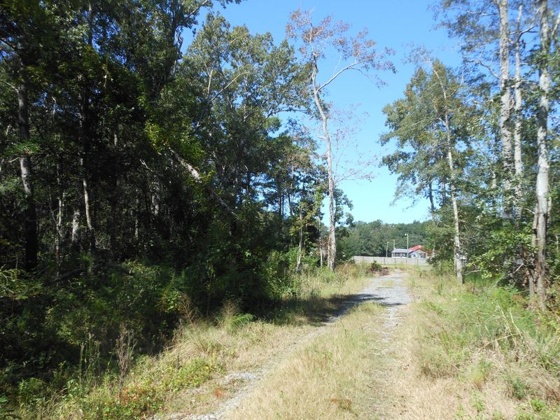 1167 Dan Rd, Mount Pleasant, SC 29466