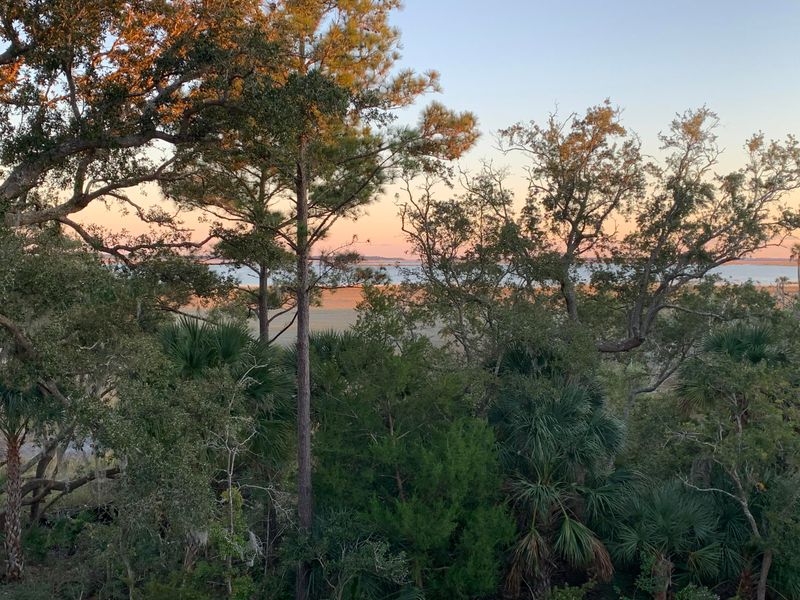 1486 Menhaden Ln, Mount Pleasant, SC 29466