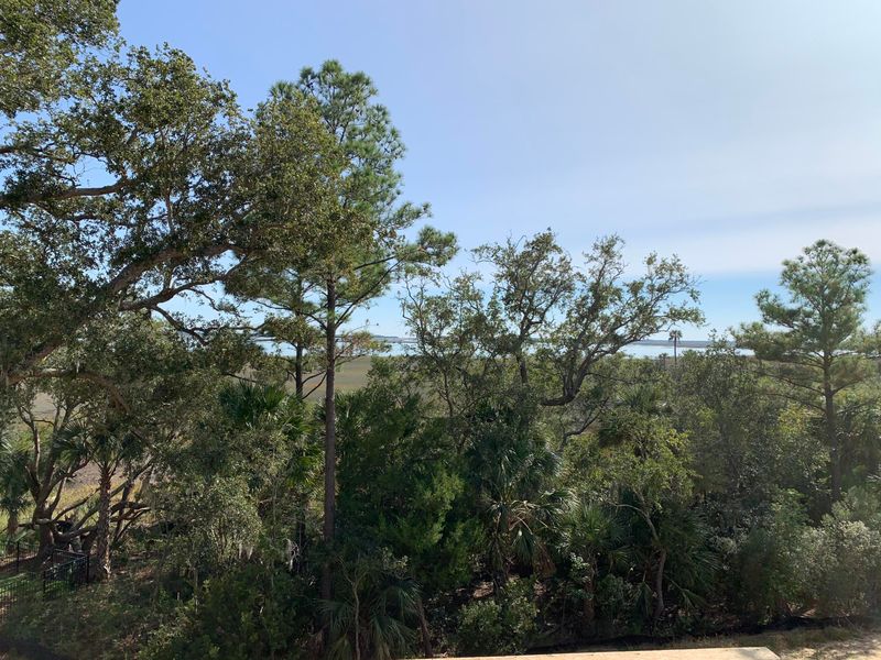 1486 Menhaden Ln, Mount Pleasant, SC 29466