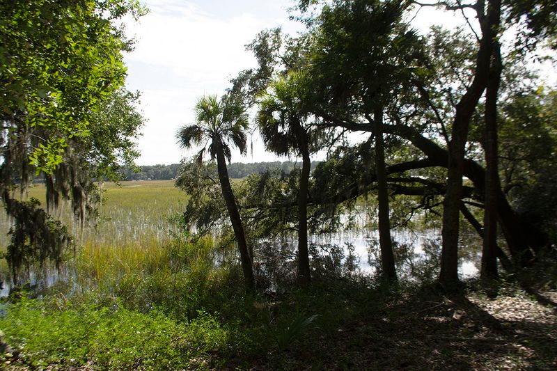 8361 Crooked Creek Ln, Edisto Island, SC 29438