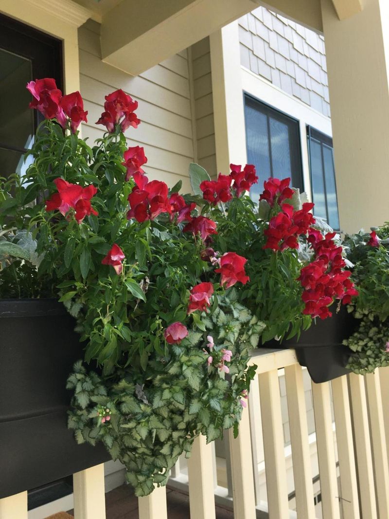 1114 Emmaline Ln #3, Seabrook Island, SC 29455