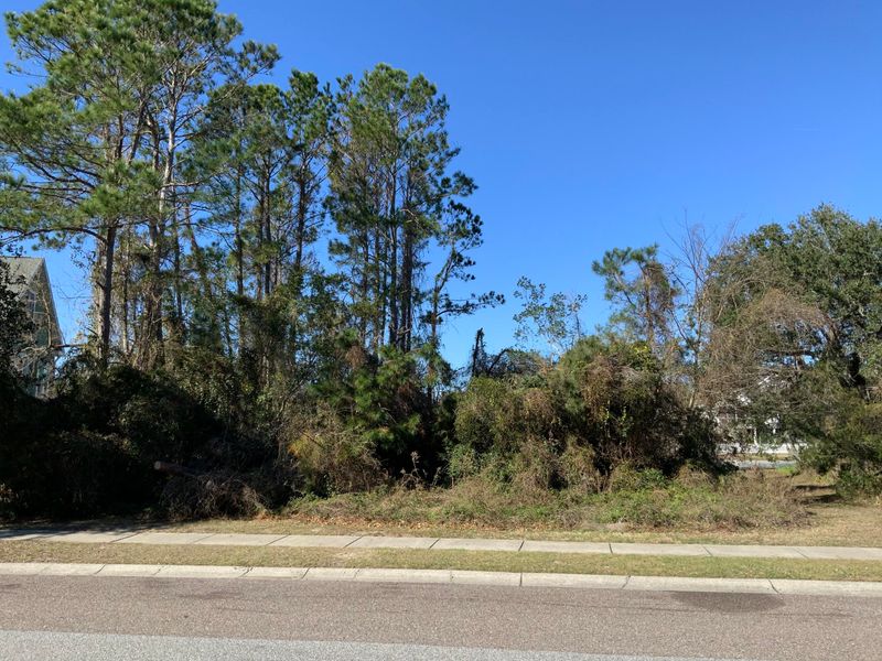 1741 Canyon Oaks Dr, Mount Pleasant, SC 29464