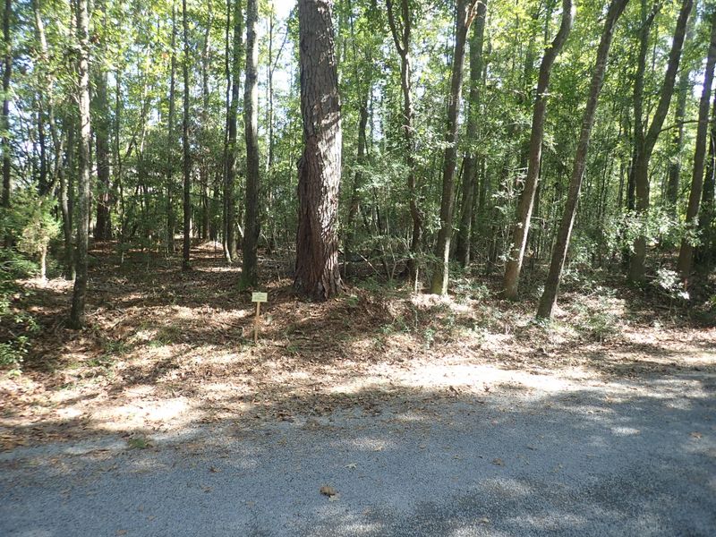 Lt 19 Barbary Coast, Hollywood, SC 29449