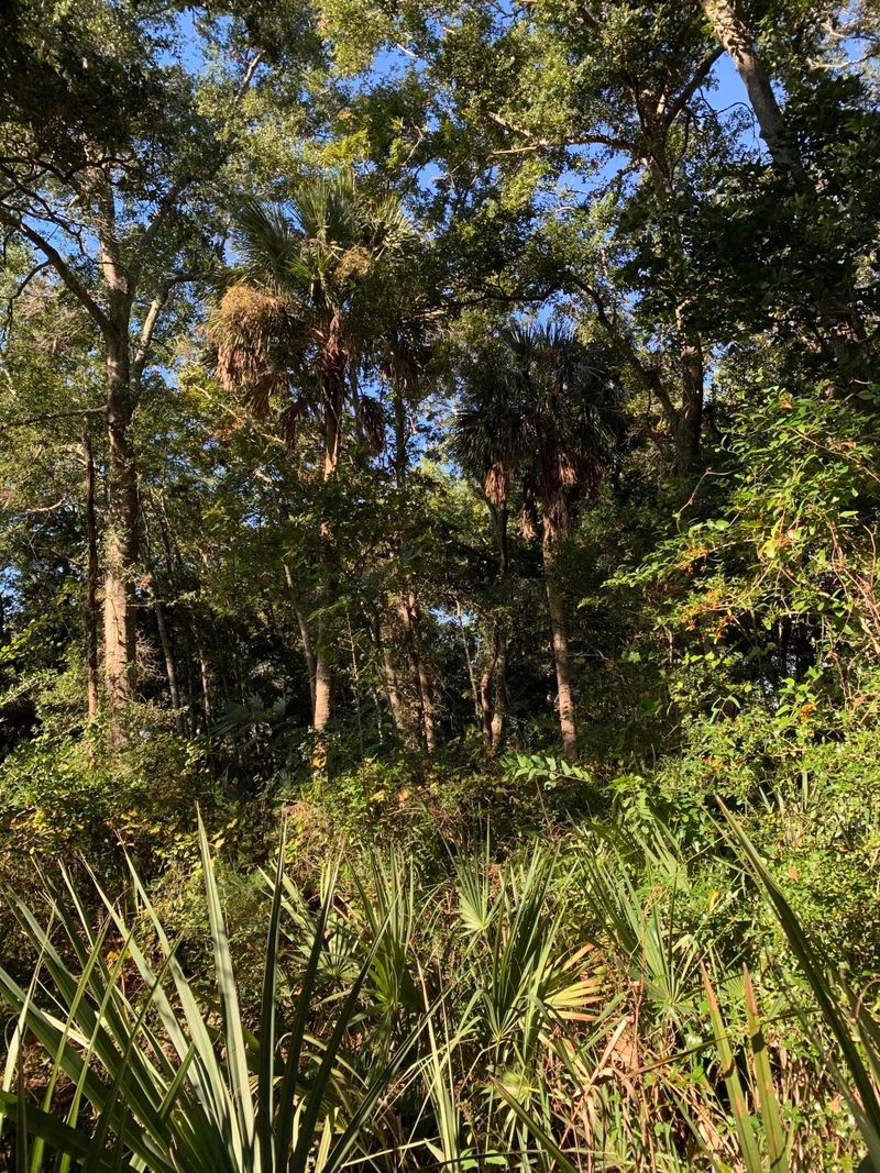 3519 Legareville Rd, Johns Island, SC 29455