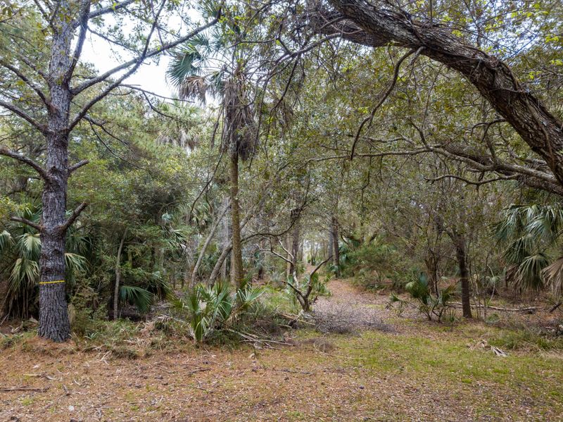 243 Pelican Flight Dr, Dewees Island, SC 29451