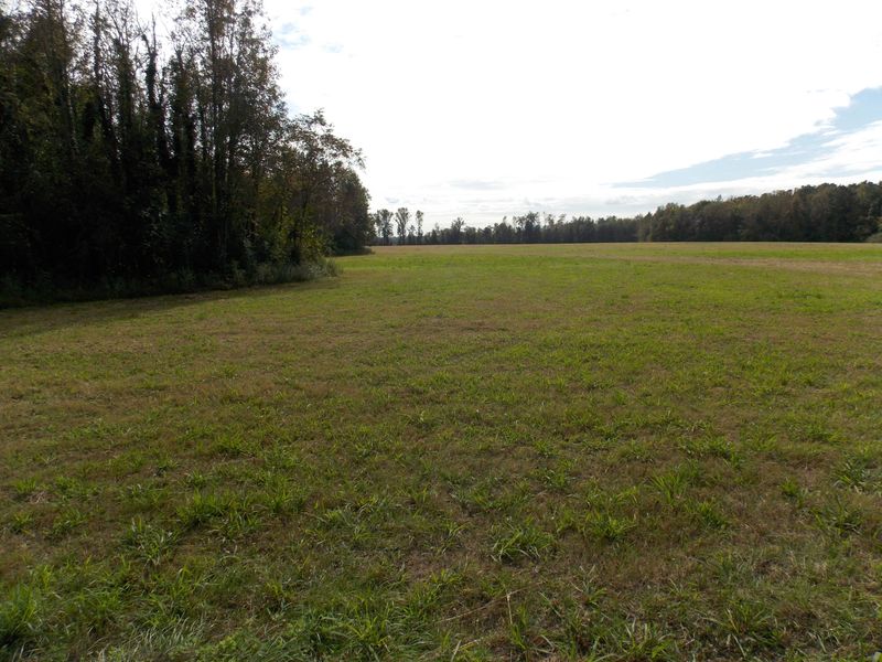 10054 Charleston Hw, Saint George, SC 29477