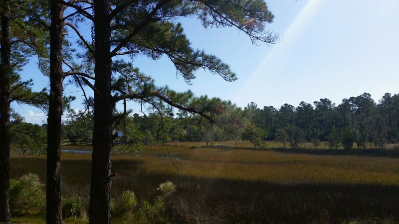 754 Kit Hall Rd, Mcclellanville, SC 29458