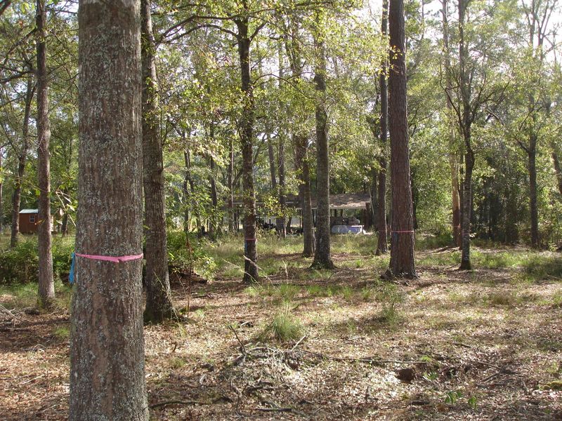 7120 Savannah Hwy, Ravenel, SC 29470