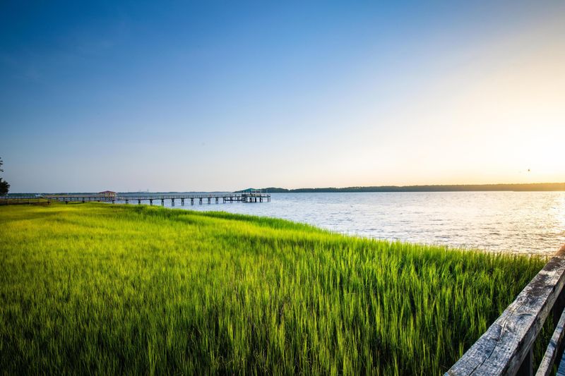 2317 Kiln Point Dr, Mount Pleasant, SC 29466
