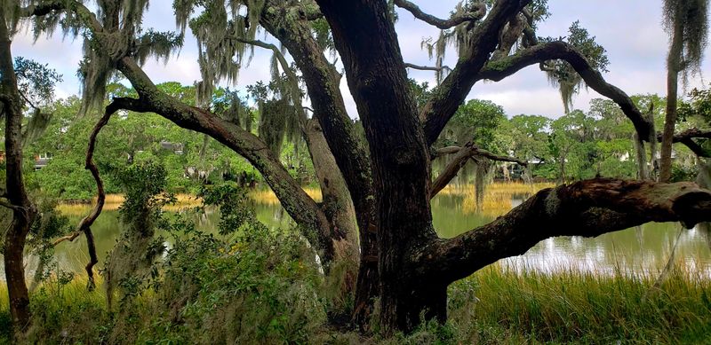 Lot 28 Compass Point, Charleston, SC 29412