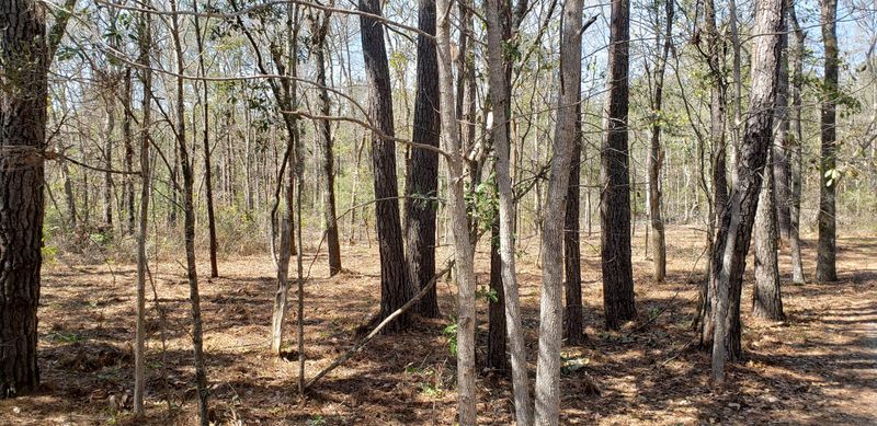 11 Roast Duck Ln, Johns Island, SC 29455