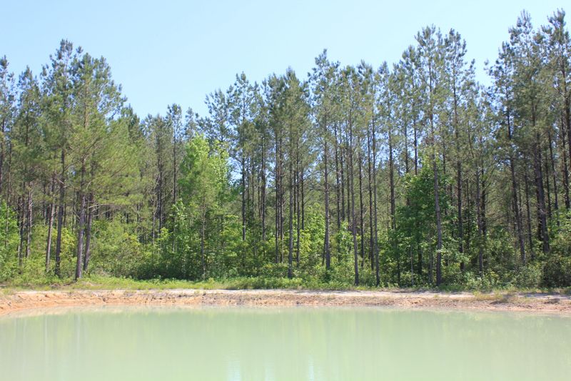 0 School Bus Dr, Shulerville, SC 29453