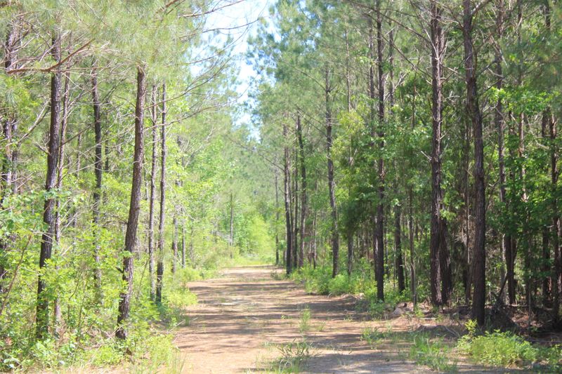 0 School Bus Dr, Shulerville, SC 29453