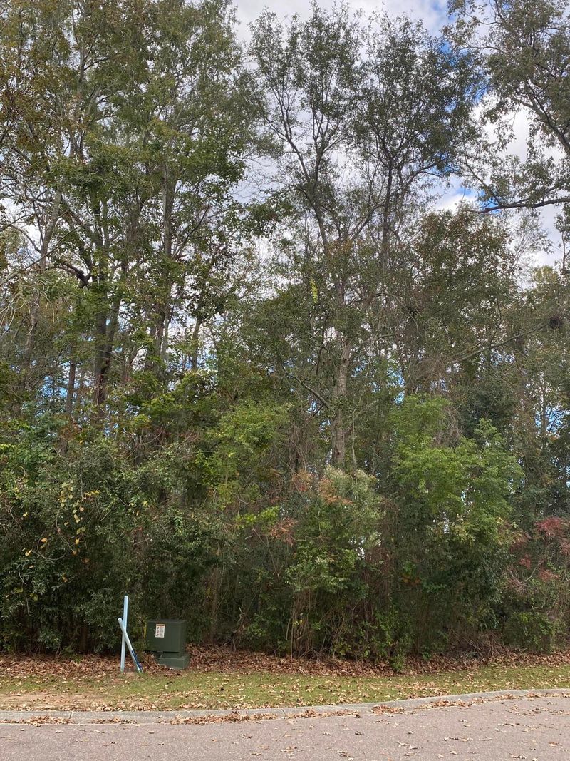 1018 Retreat Ave, Moncks Corner, SC 29461