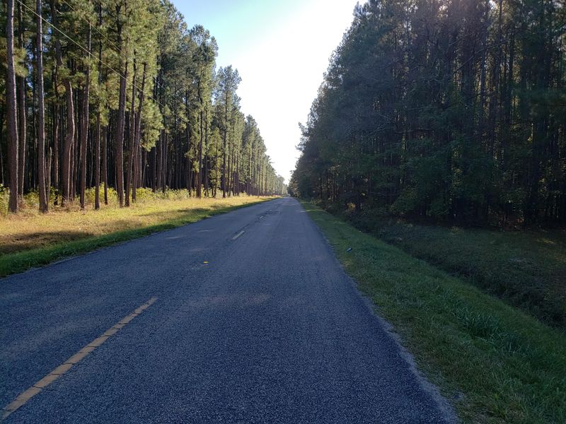 000 Cane Gully Rd, Moncks Corner, SC 29461
