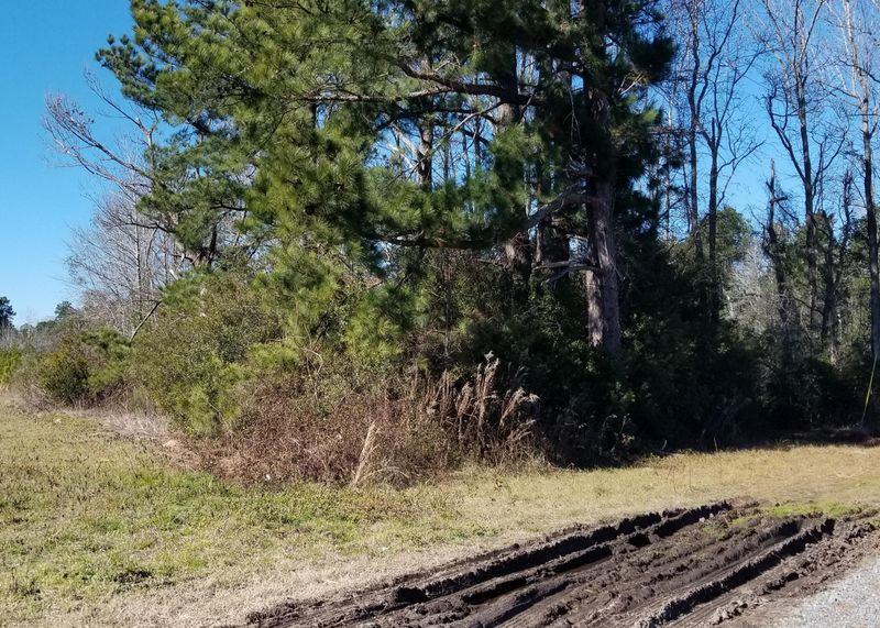 0 Jess Ln, Cross, SC 29436