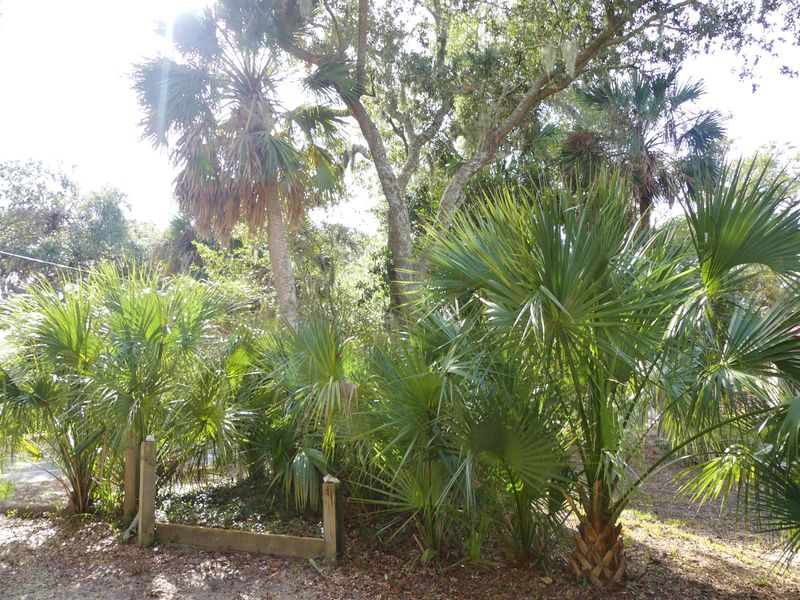 713 Jungle Rd, Edisto Island, SC 29438