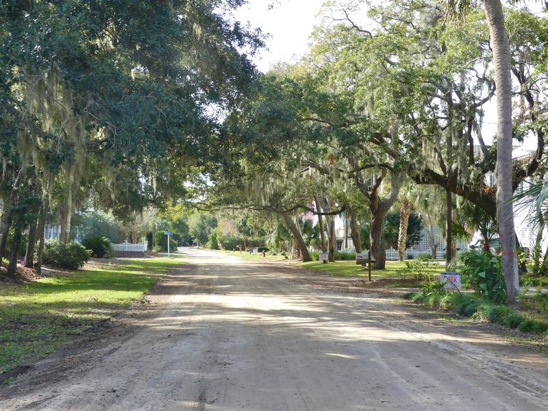 713 Jungle Rd, Edisto Island, SC 29438