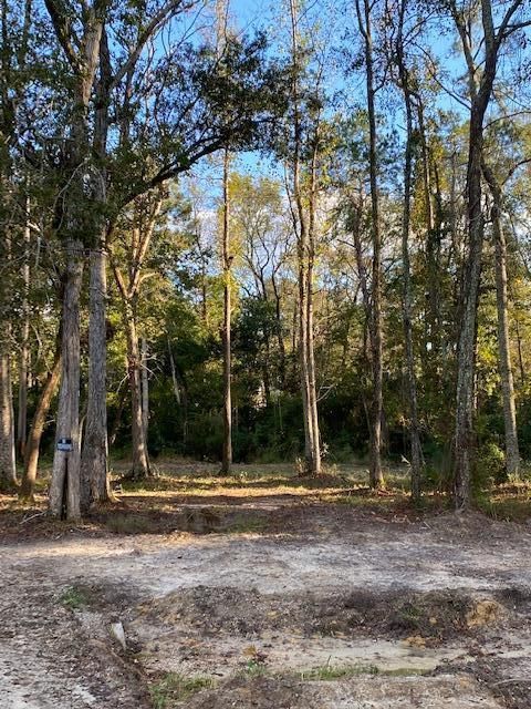 0000 Saddle Trl, Summerville, SC 29483