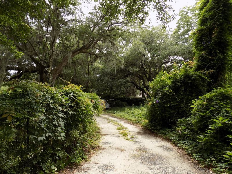 621 Riverland Dr, Charleston, SC 29412