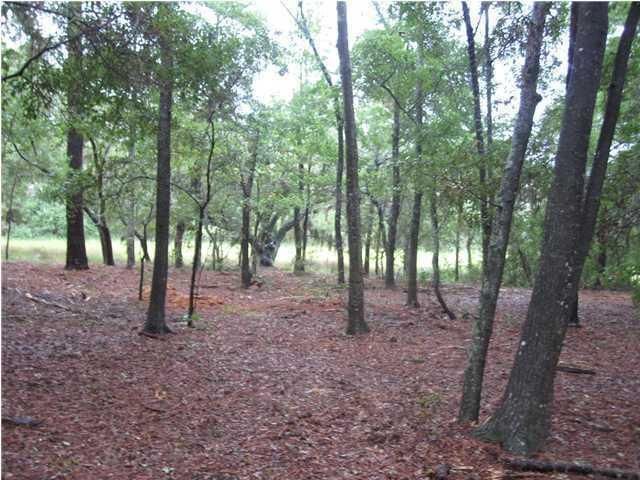 2355 S Rockland Ave, Wadmalaw Island, SC 29487