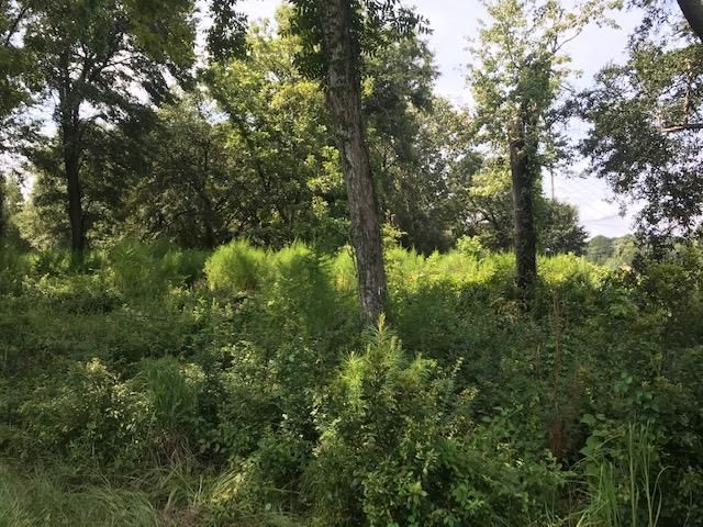 8451 Old Georgetown Rd, Mcclellanville, SC 29429