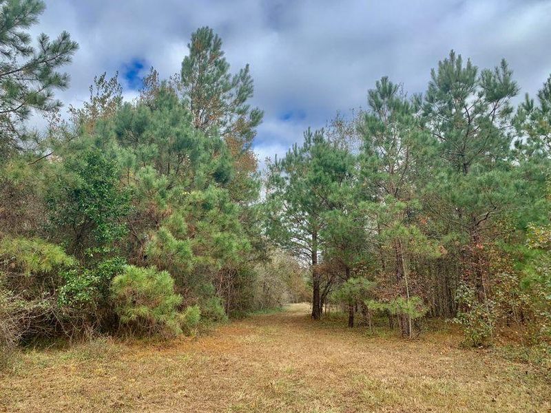 2 Friendship Rd, Reevesville, SC 29471