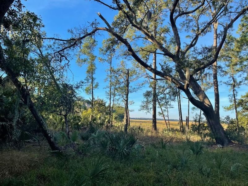 0 Ln, Edisto Island, SC 29438