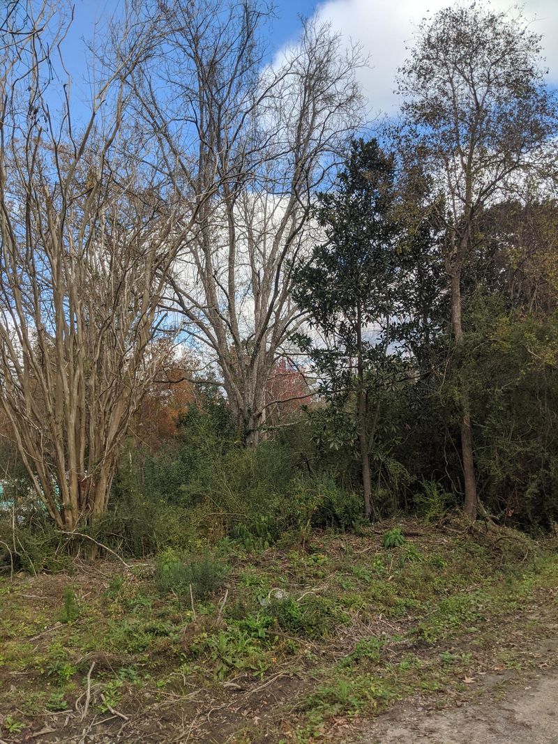 206 Muskie Dr, Summerville, SC 29483