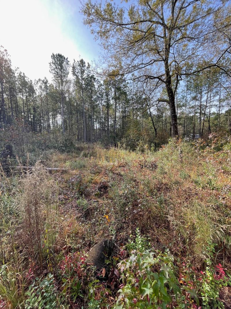 0 Soaring Way, Summerville, SC 29486