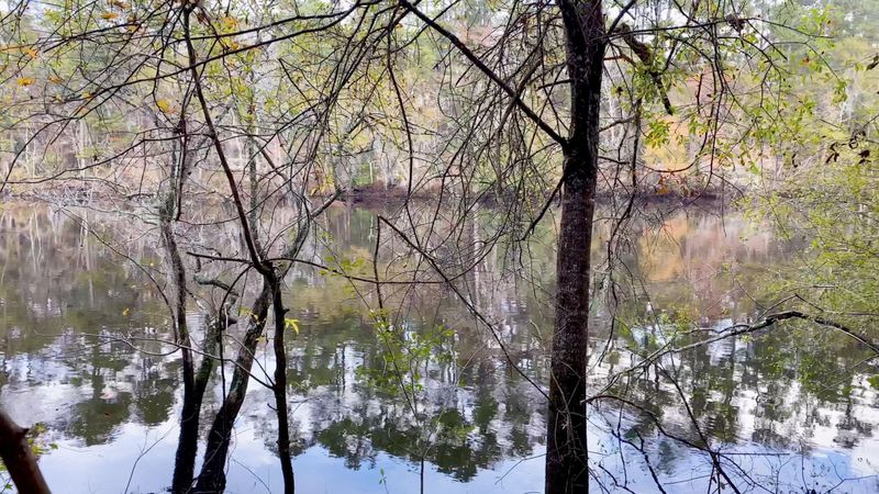 0 Shad Ln, Ridgeville, SC 29472
