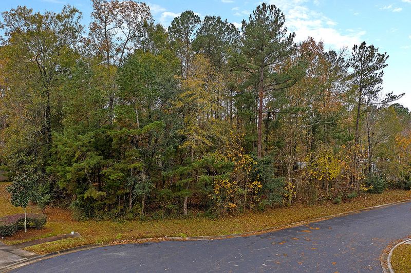 100 Harcourt Pl, Goose Creek, SC 29445