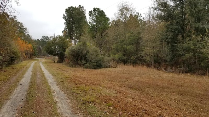 0 Poplar Hill Rd, Ridgeville, SC 29472