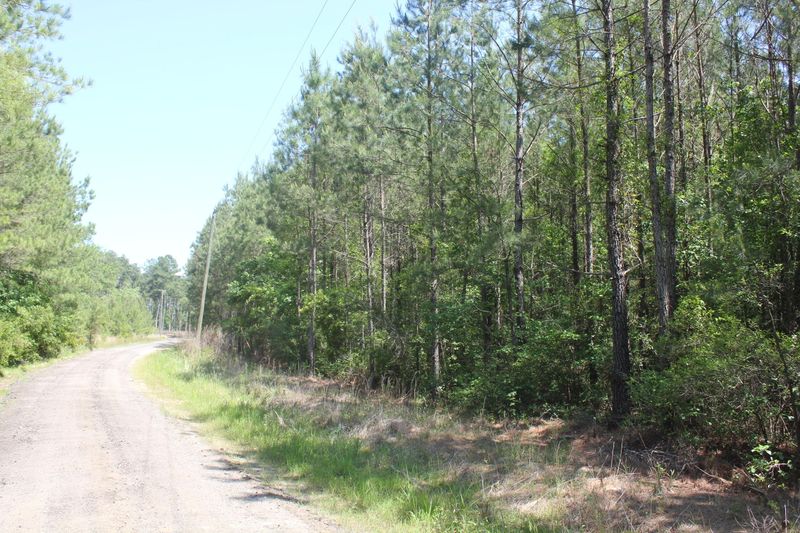 0 Shulerville Rd, Shulerville, SC 29453